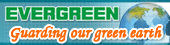 15 Evergreen
